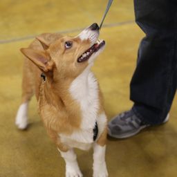 photograph by PeterW